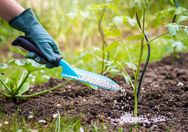  Greensoil Pesticide & Fertilizer